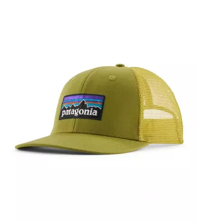 Шапка Patagonia P-6 Logo Trucker Hat Summer 2025