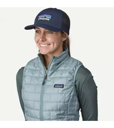 Шапка Patagonia P-6 Logo Trucker Hat Summer 2025